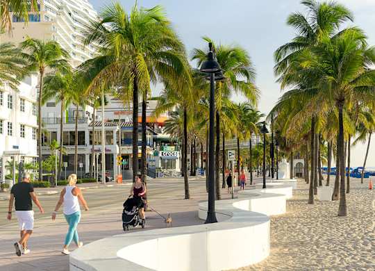 A beach scene with people walking and a palm tree.