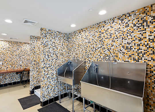 Dog wash sinks at Westerchester at the Pavillions in Waldorf MD
