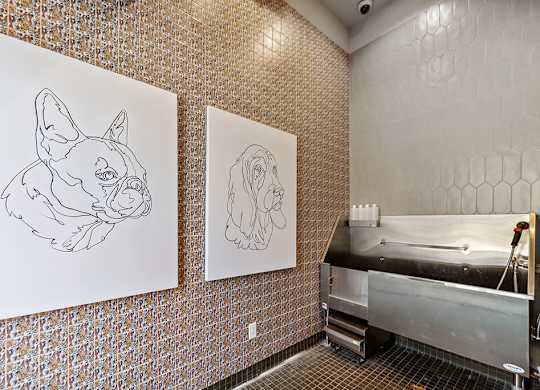 Dog Wash at The Quill Apartments in Milford, MA