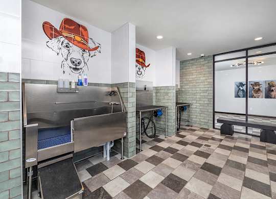Dog wash at Cala Apartments in Austin TX