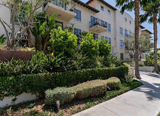 Exterior Building and Landscape at Cardio Equipment at Candara at Hancock Park Apartments in Los Angeles CA
