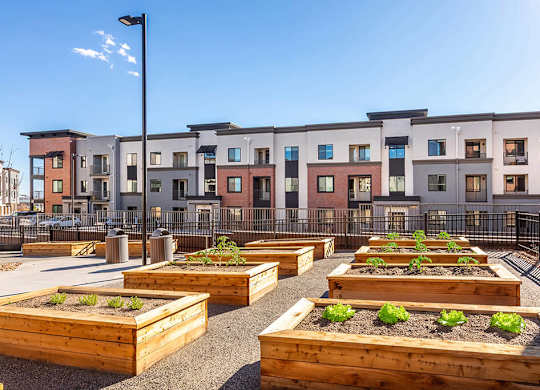 Outdoor garden at Olivean Apartments in Broomfield CO