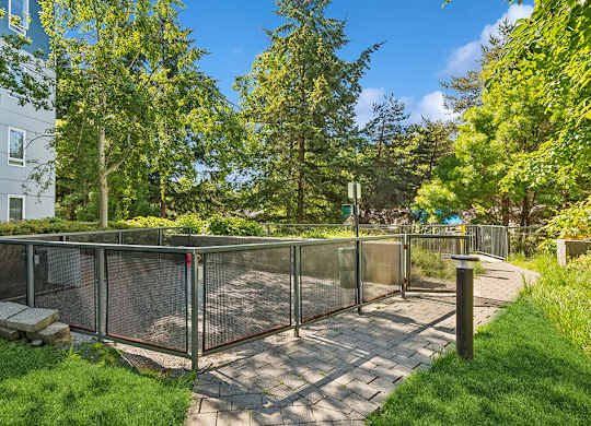 Exterior dog park at Riverpark Apartments in Redmond WA