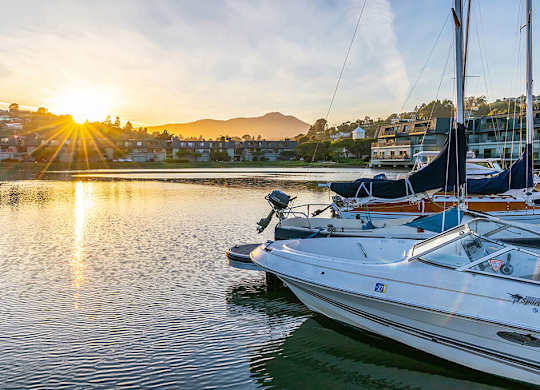 Marina at dusk at The Cove at Tiburon Apartments in Tiburon CA