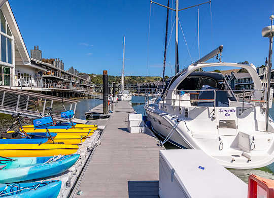 Outdoor paddle boards at The Cove at Tiburon Apartments in Tiburon CA