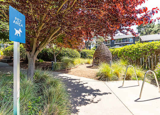 Outdoor pet area at The Cove at Tiburon Apartments in Tiburon CA