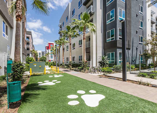 Exterior Pet Park Paw Spot at Avel Apartment Homes in Orange CA