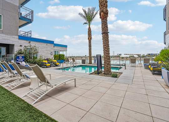 Pool with palm trees at Norte Town Lake Apartments in Tempe Arizona