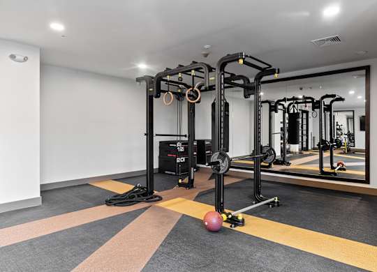 Fitness Cener Weights at VERO Apartments in Chelsea MA