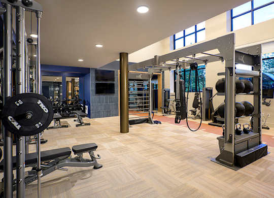 Fitness center weights at 333 Ellington Apartments in Gaithersburg MD
