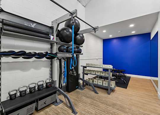 A gym with a bench, weights, and a blue wall.
