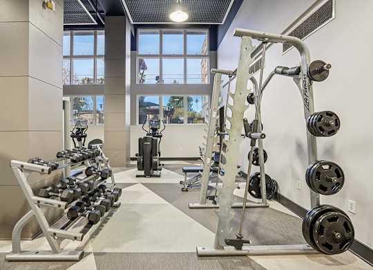 Fitness Center Free Weights at Haven at Del Mar Station Apartments in Pasadena CA