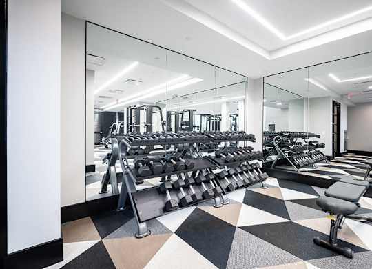 a fully equipped gym with cardio machines and weights at The Belhaven in Alexandria VA