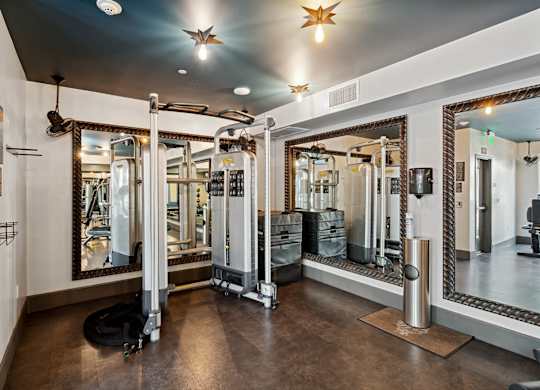 Fitness Center Training Vault Cross Training Equipment