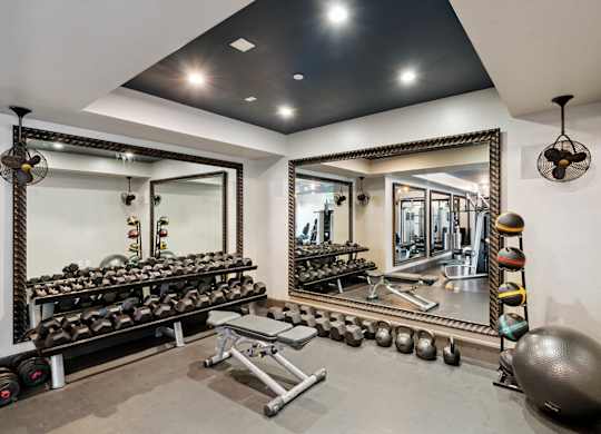 Fitness Center Training Vault Free Weights