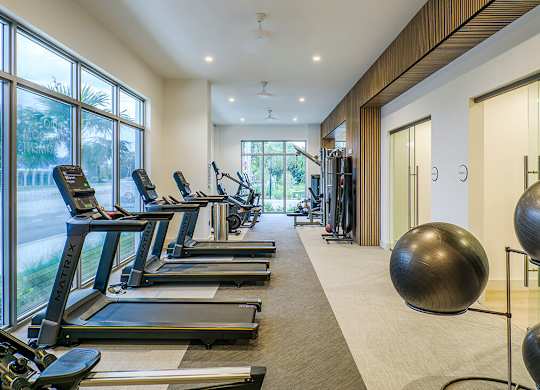 Fitness center with treadmills at Treo Apartments in Fort Lauderdale FL