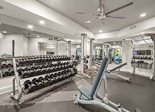 Fitness center weight rack at Norte Town Lake Apartments in Tempe Arizona