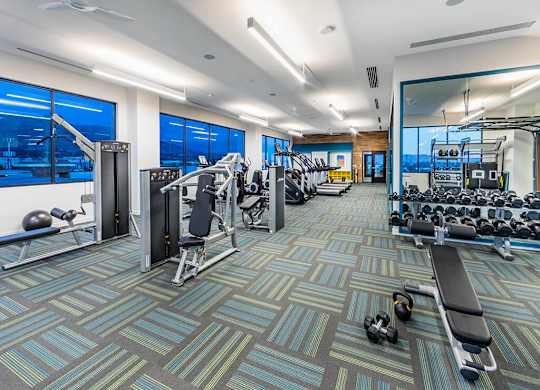 Fitness Center Weights at Embark Apartments in Fremont CA