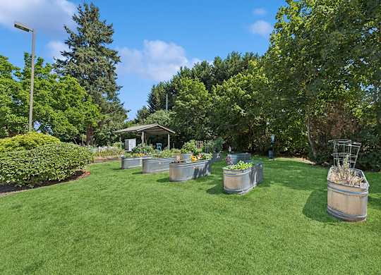 Courtyard garden at Lakewood Meadows Apartments in Lakewood WA