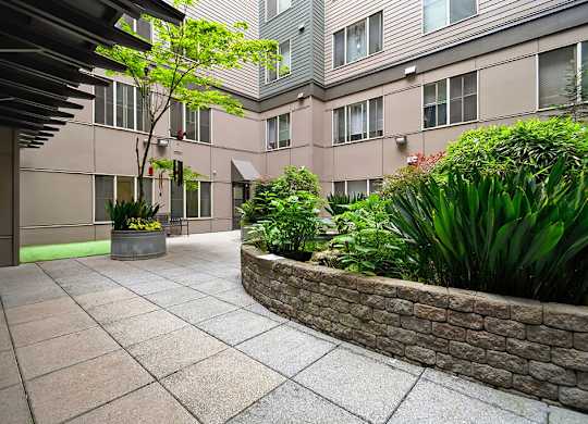 A courtyard with a stone wall and a tree.