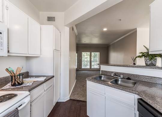 Kitchen countertops at Hollow Creek in Conroe TX