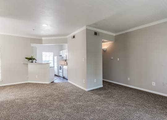 Kitchen and living room at Hollow Creek in Conroe TX