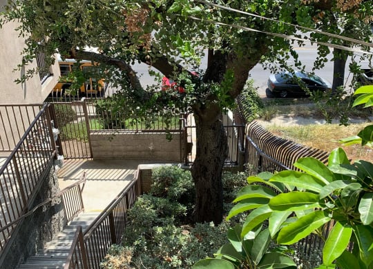 Landscaping at Glanmary at Harvard Yard and Glenmary Apartments in Los Angeles CA