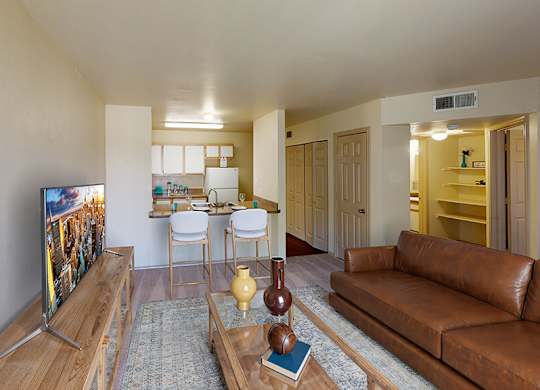 Living room at Paradise Oaks apartments in Austin TX