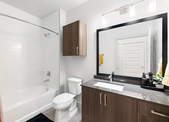 Model Concrete Design Package Bathroom at East Bend Apartments in Houston TX