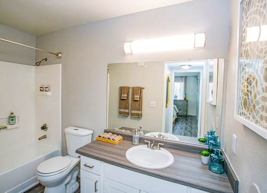 a bathroom with a sink toilet and a mirror