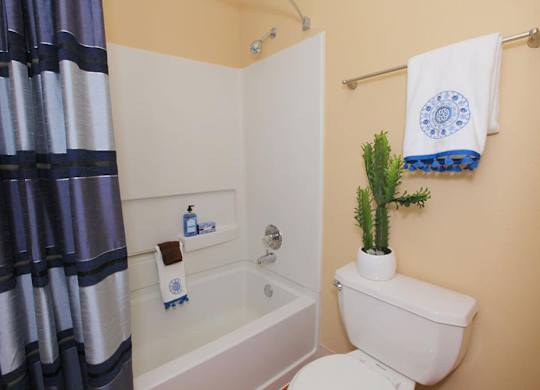 Loft bathroom at Sky Rock Apartments in Longmont CO