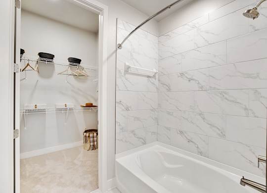 Model Sandalwood Design Package Bathroom and Closet at 1810 Main Apartments in Houston TX