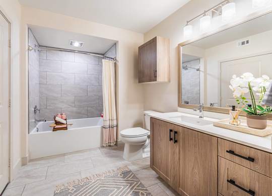 Sepia Design Package Bathroom at The Seaton Apartments in San Diego CA