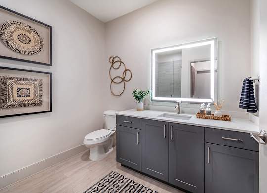 Snow design bathroom at Olivean Apartments in Broomfield CO