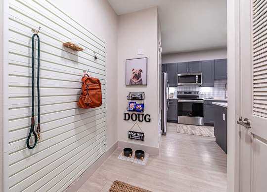 Model snow design package entry at Olivean Apartments in Broomfield CO