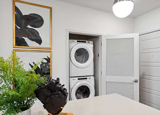 Model Washer and Dryer at Belhaven Apartments in Alexandria VA