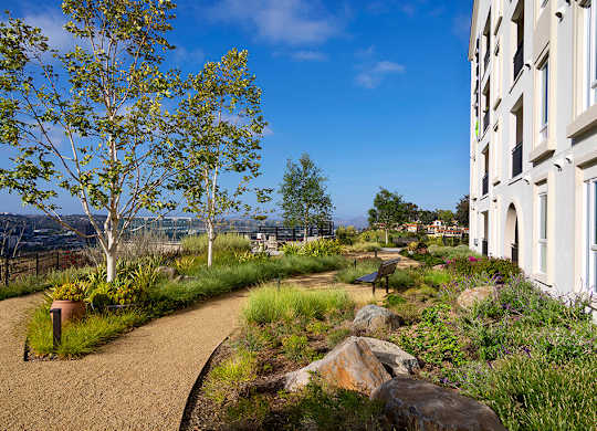 Outdoor walking path at Chromatic Flats Apartments in San Diego CA