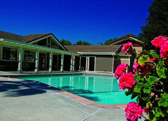 Pool and flowers at Belmont Apartment Homes in Pittsburg CA