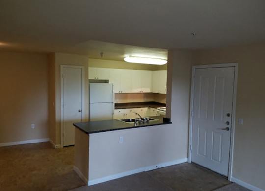 Kitchen counter at Bristol Apartment Homes in Dixon CA