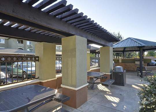 Picnic area at Bristol Apartment Homes in Dixon CA