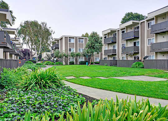 Lush lawn at Turnleaf Apartments in San Jose CA