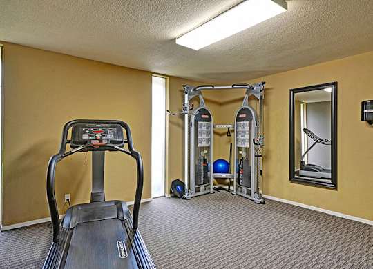 Fitness center at Turnleaf Apartments in San Jose CA