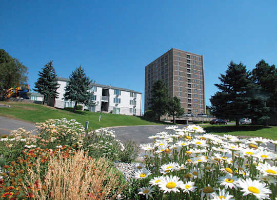 Open green space at Ridgemoor Apartment Homes in Lakewood CO