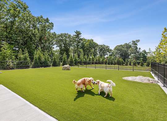 Pet park at Jayden Apartments in Peabody MA