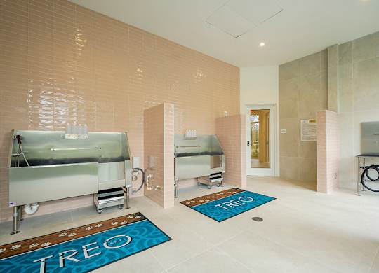Pet spa at Treo Apartments in Fort Lauderdale FL