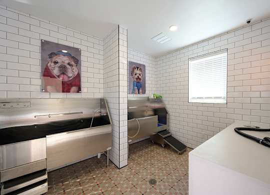 Pet spa at Verge Apartments in Atlanta GA