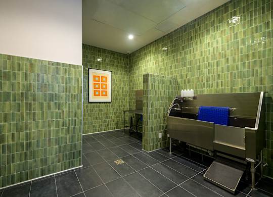 Pet wash area at Coasterra Apartments in Fort Lauderdale FL