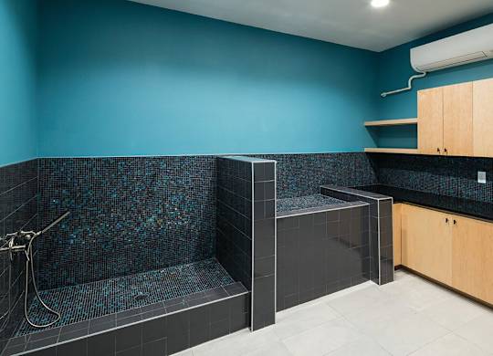 Pet Spa at Jada Legacy Central Apartments in Plano TX