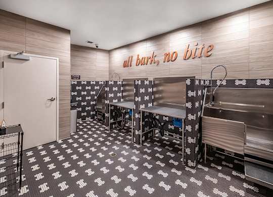 Pet wash at The Brynn in Kirkland WA