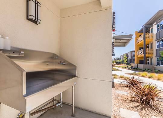 Exterior Dog Wash at The Braydon Apartments in Napa CA